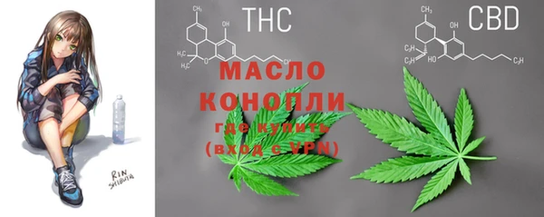 гашик Новозыбков