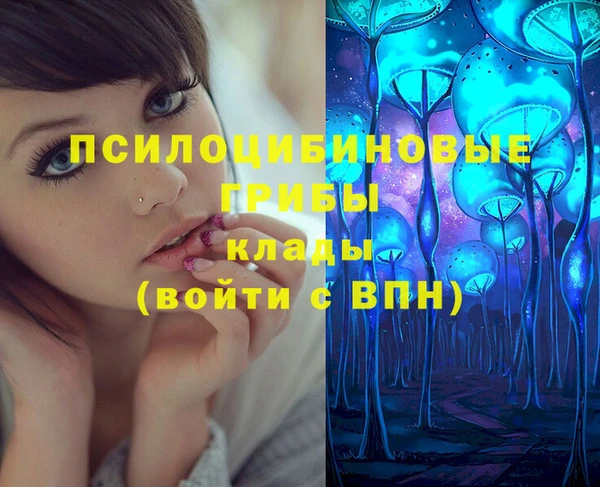 спайс Баксан
