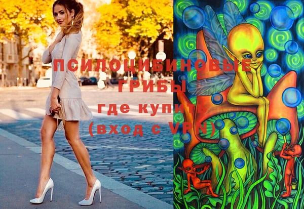 спайс Баксан